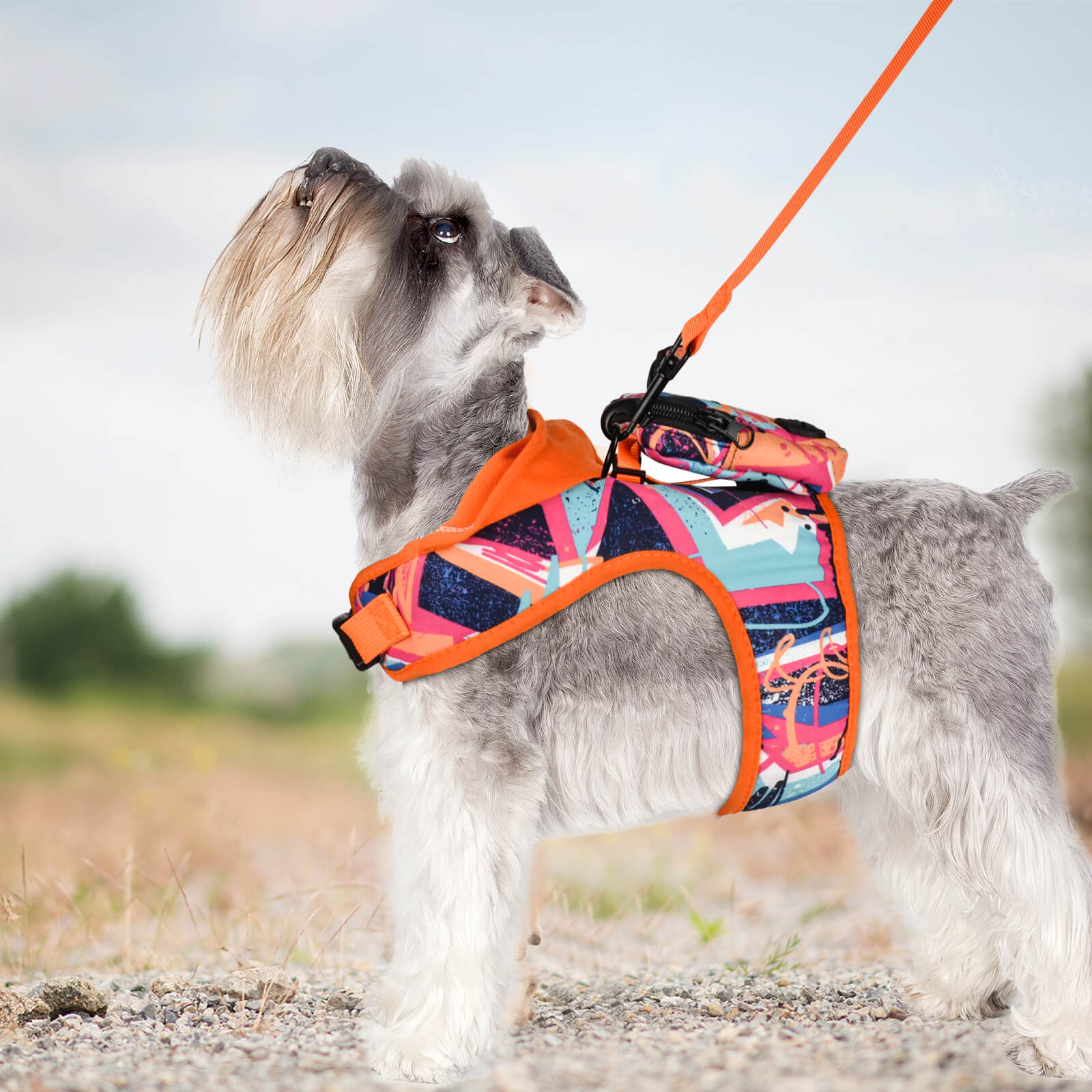 Geometrical Shape Harness and Leash with poop bag holder 3pcs