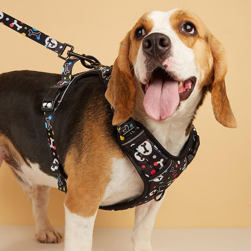 Bone pattern Hooded Dog Harness and Leash with Poop Bag Holder 3pcs