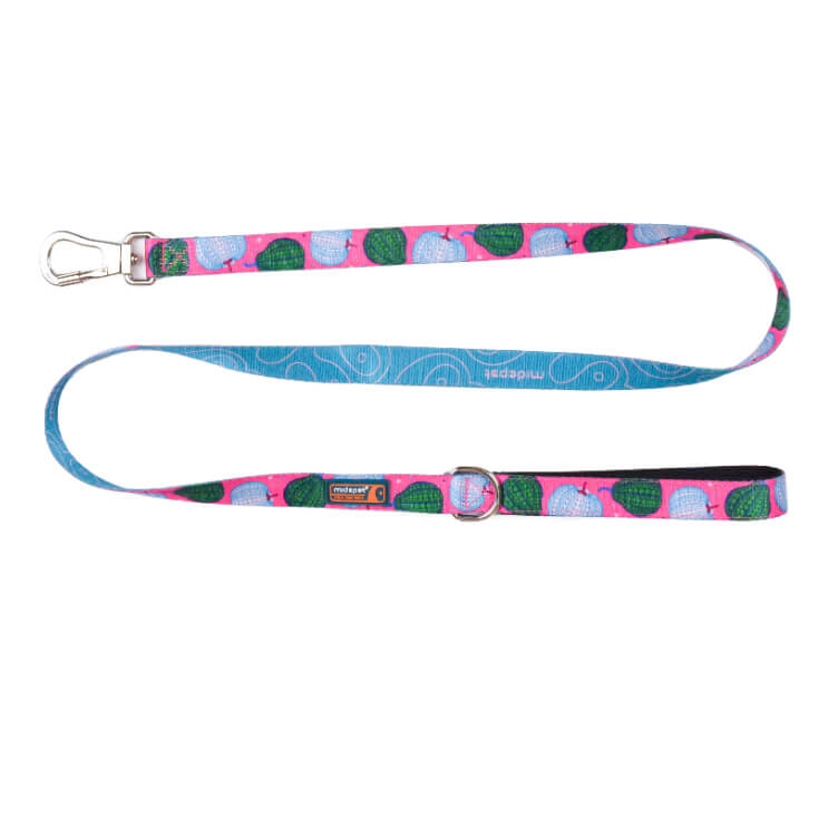 Pumpkin Double Sided Printed Dog Leash