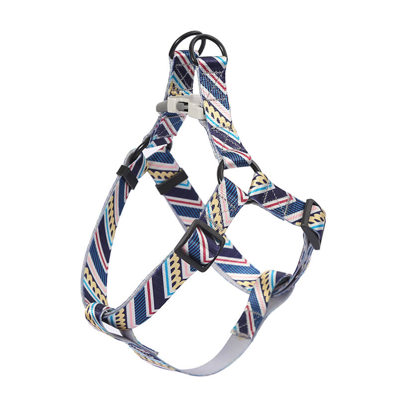 Colorful H Dog Harness