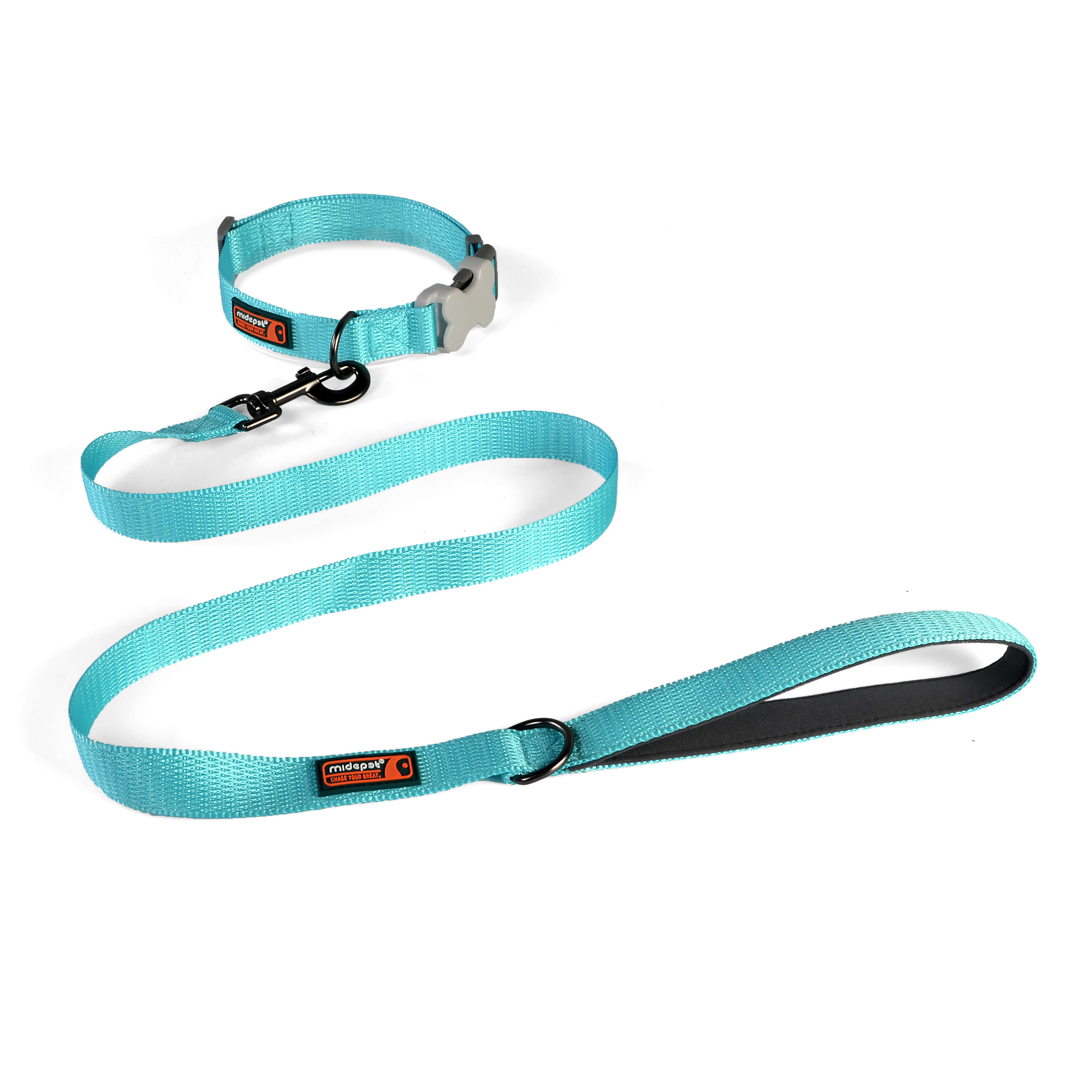 Nylon Solid Color Collar with Leash Kit