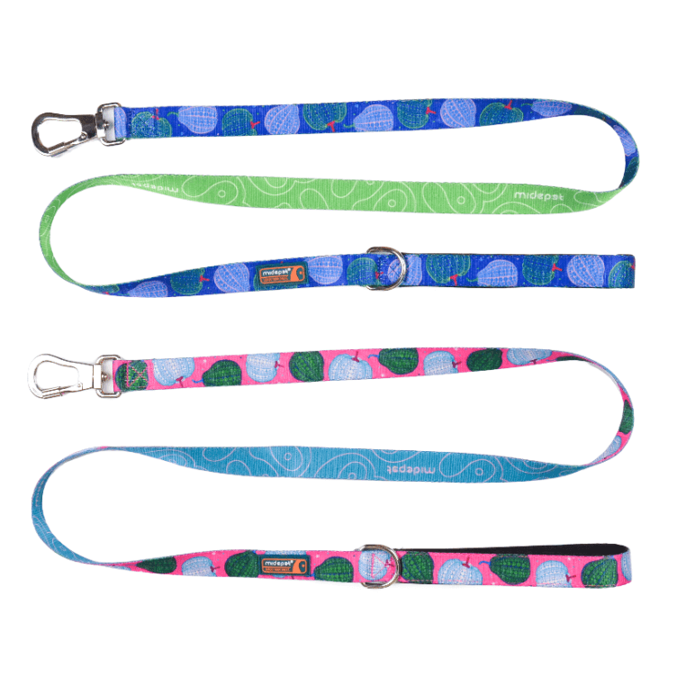Pumpkin Double Sided Printed Dog Leash