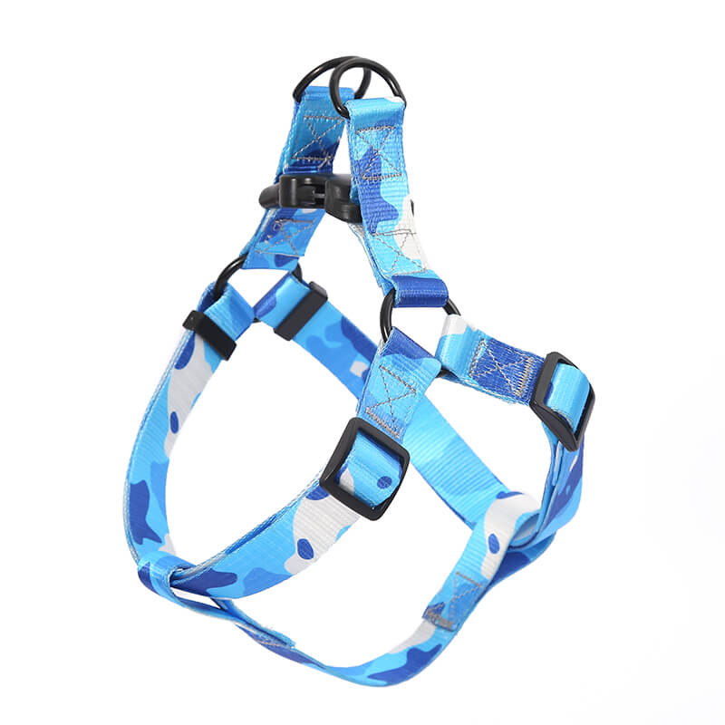 Colorful H Dog Harness