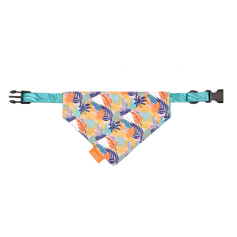 Dog Collar with Bandana Tropical Style