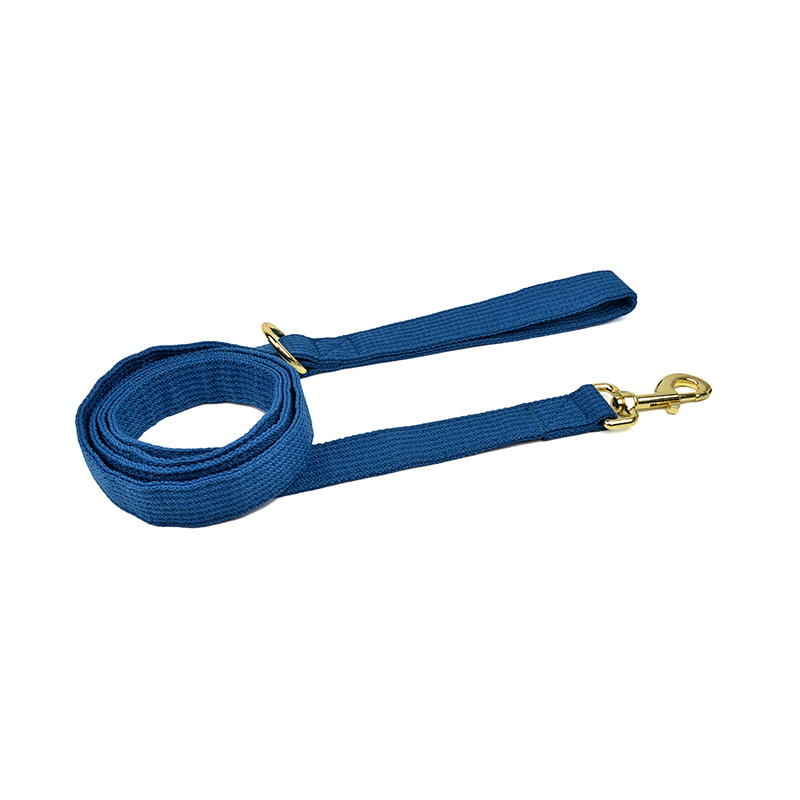 Solid Color Patterned Leash