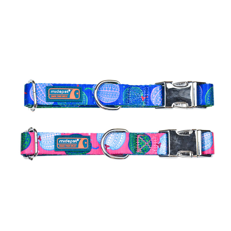Pumpkin printing Dog Collar
