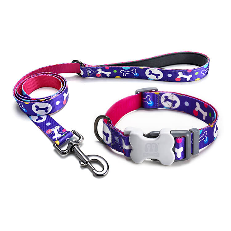 Bone Print Dog Collar With Leash Kit