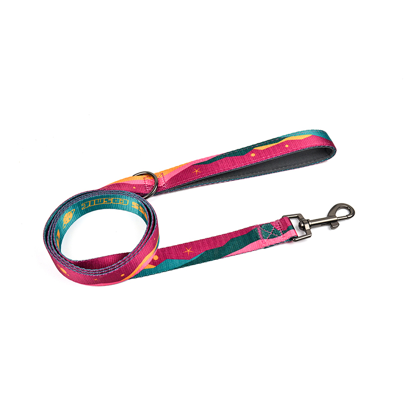Crossing Cosmic Series Leash
