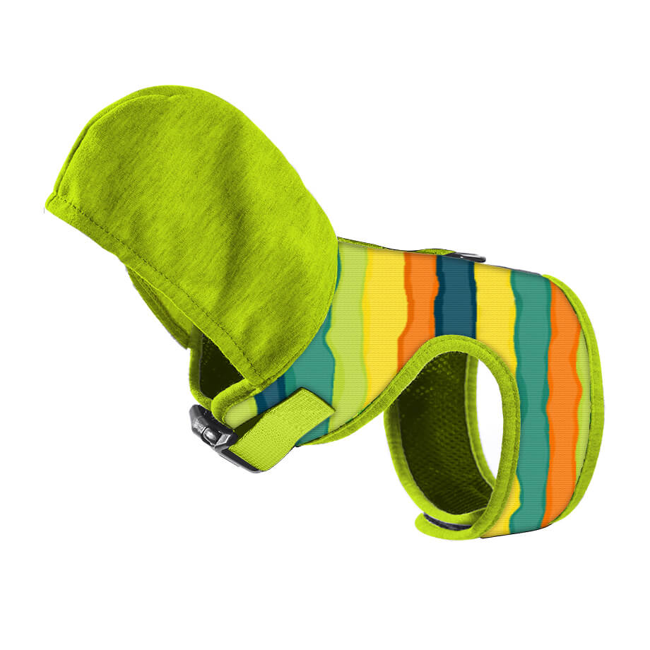 Cartoon Pattern Hooded Dog Harenss