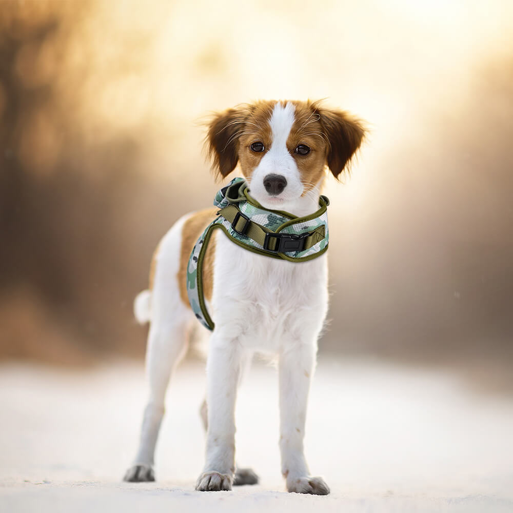 Hooded Dog Harness with Poop Bag Holder Green
