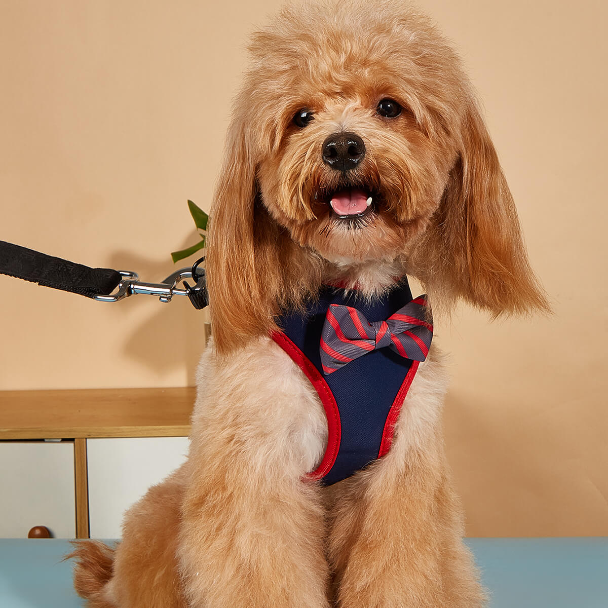 Bow tie solid color dogs harness