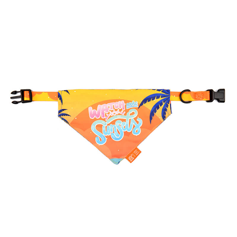 Dog Collar with Bandana Tropical Style
