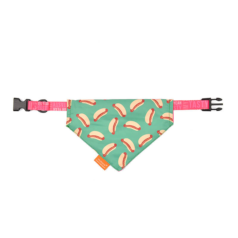 Dog Collar with Bandana Tropical Style