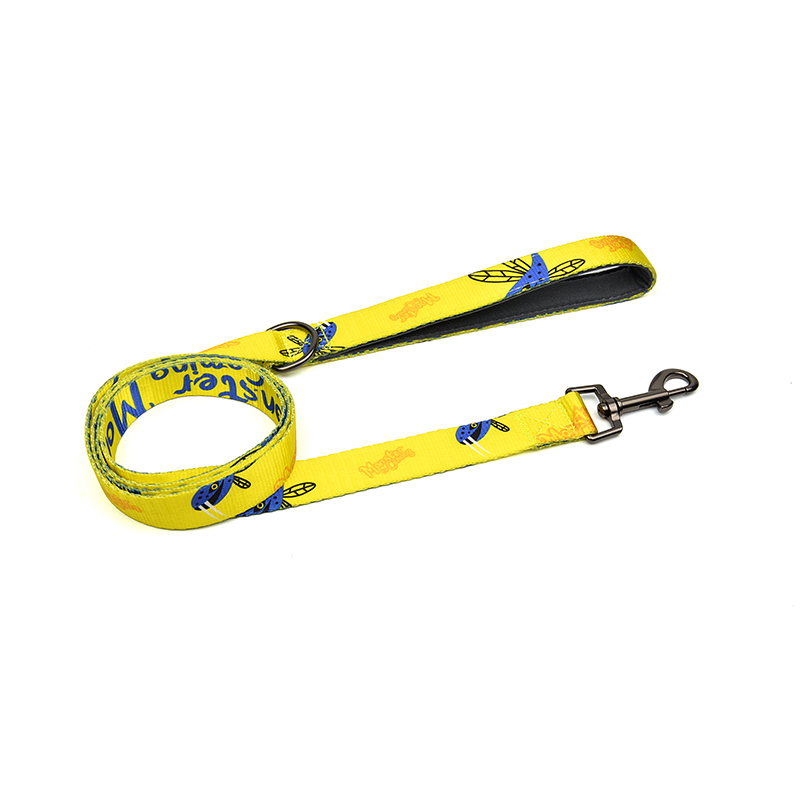Monster is Coming Series Leash