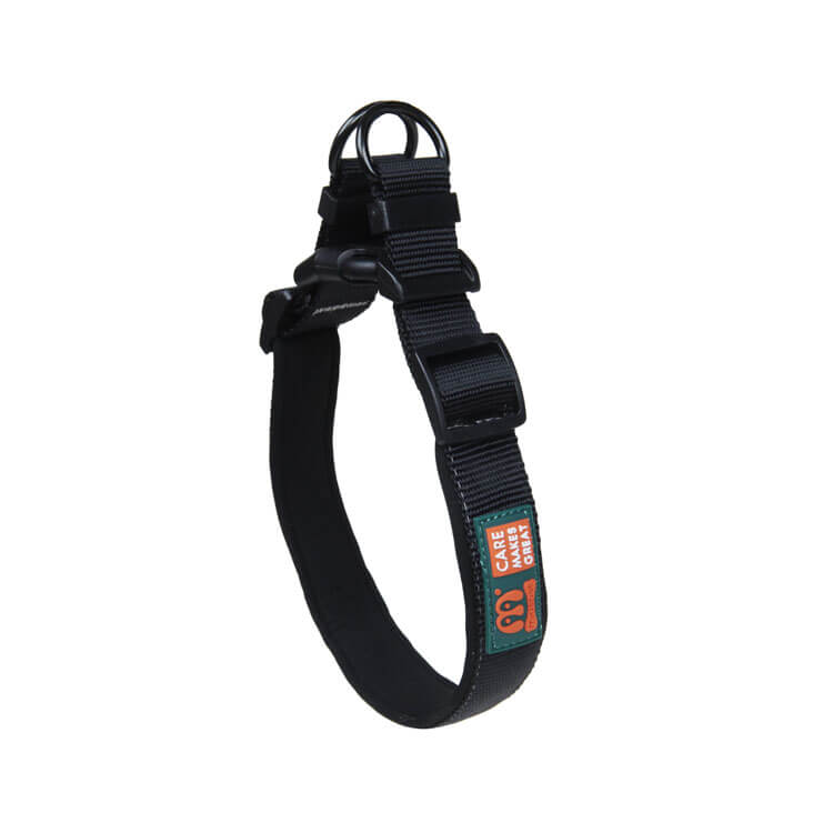 Two Adjustable Points Sole Color Neoprene Dog Collar