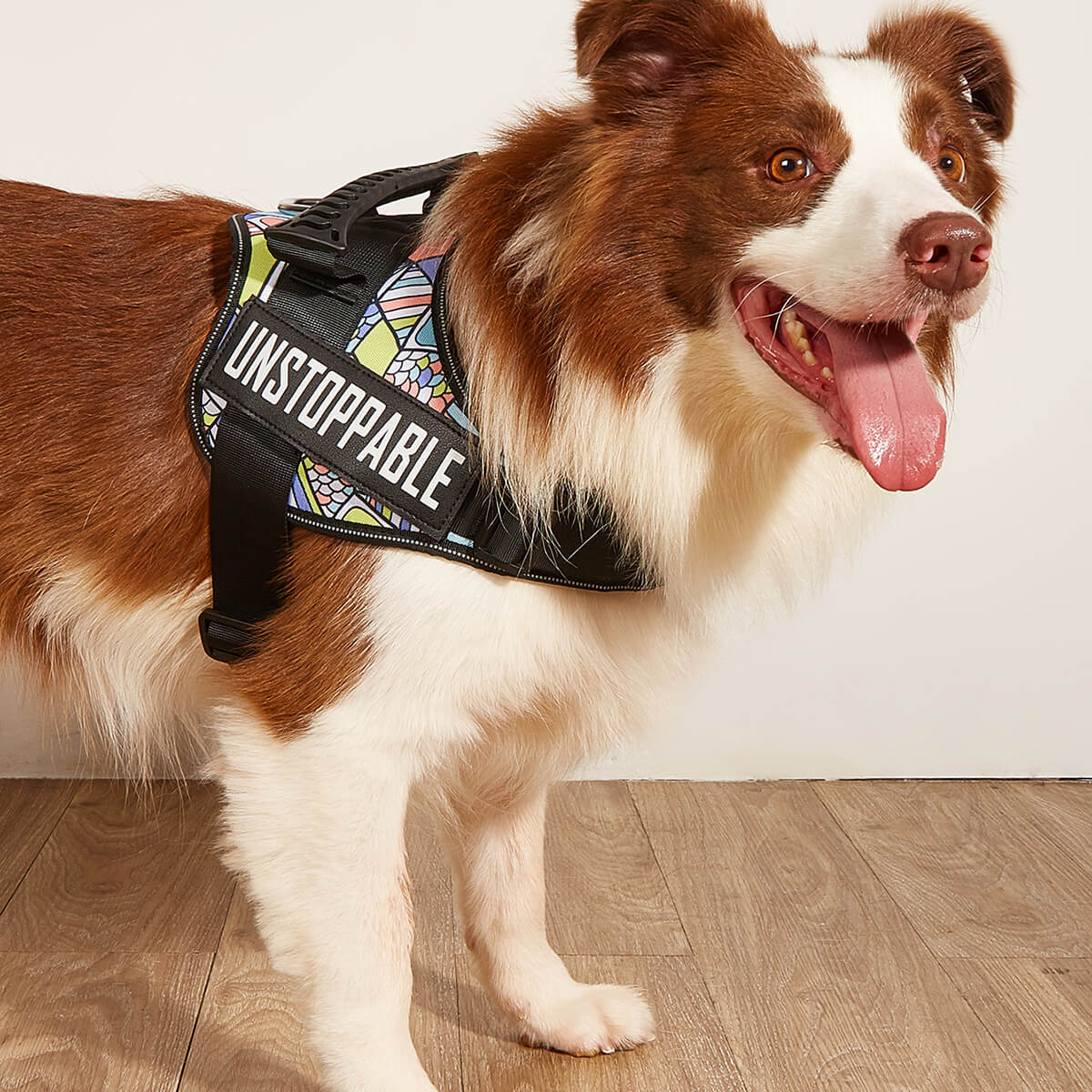 Tactical Dog Harness for Large Dog Body
