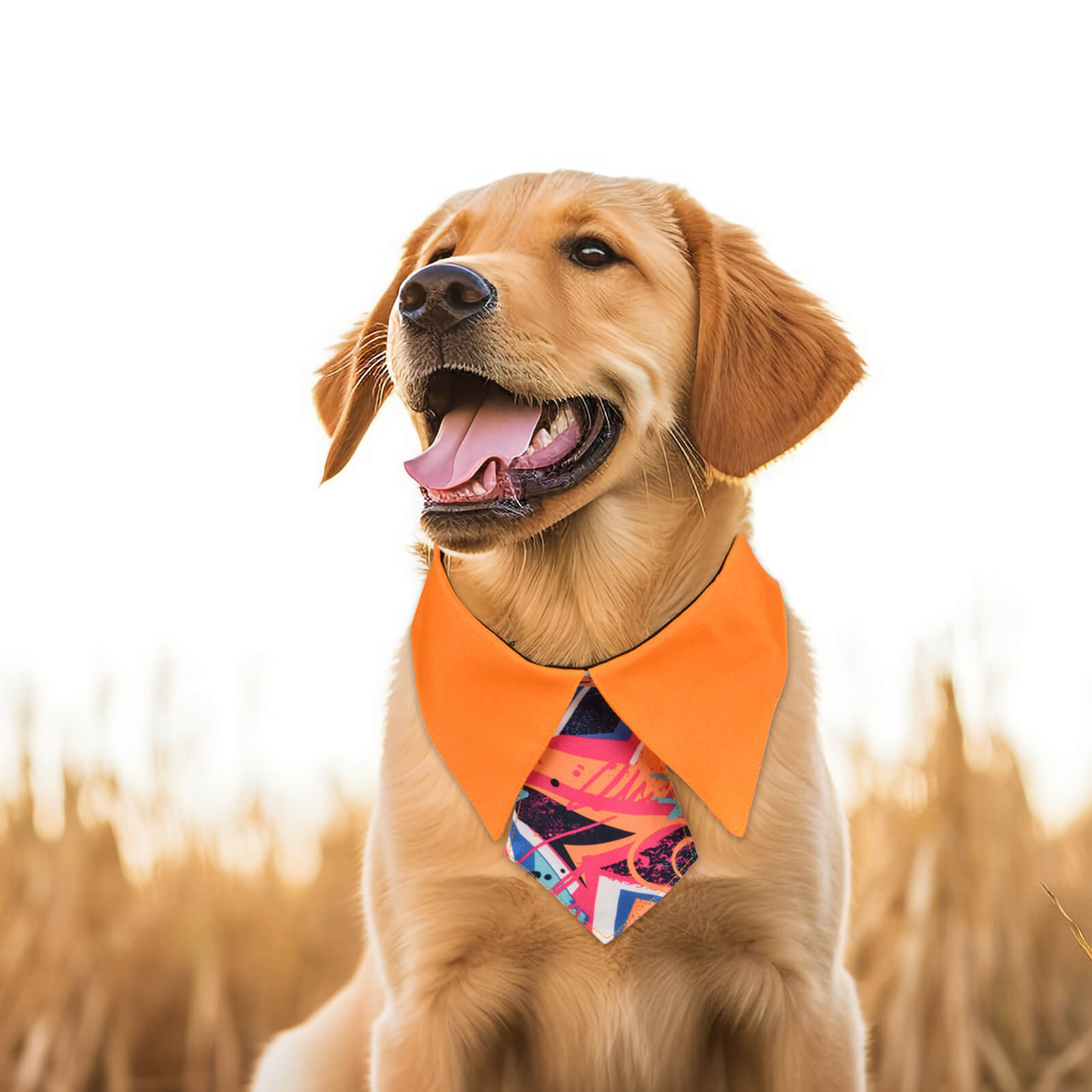 Dog Necktie & Bandanas Stylish & Durable Pet Accessories for Special Occasions