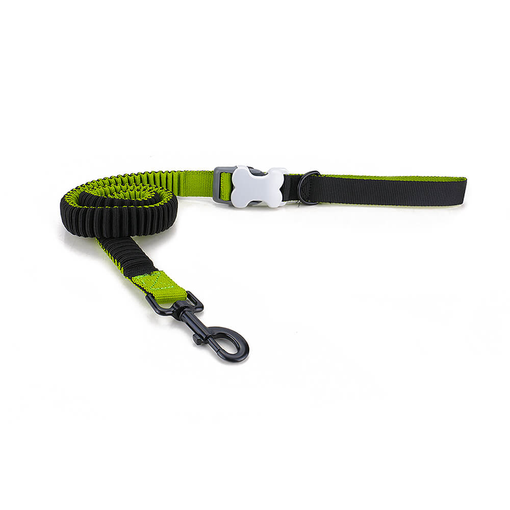 Elastic Dog Leash for Big Dogs