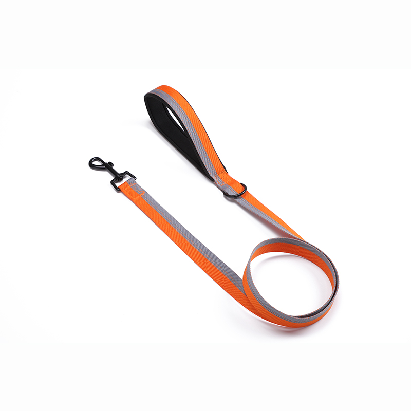 Classic Dog Leash in Two Tone Color