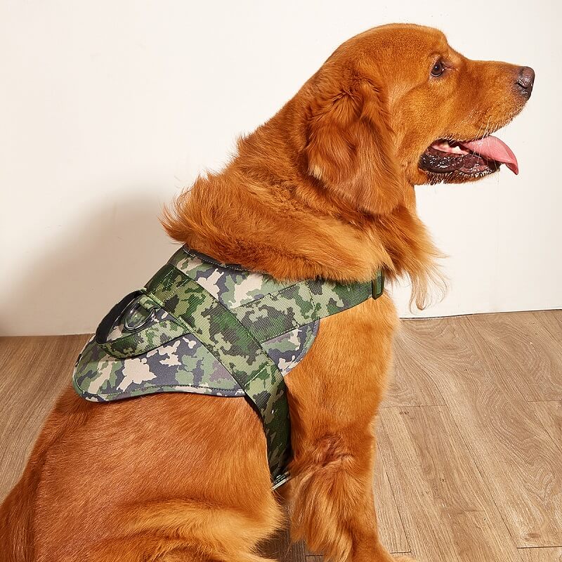 No-Pull Dog Harness for Big Dog