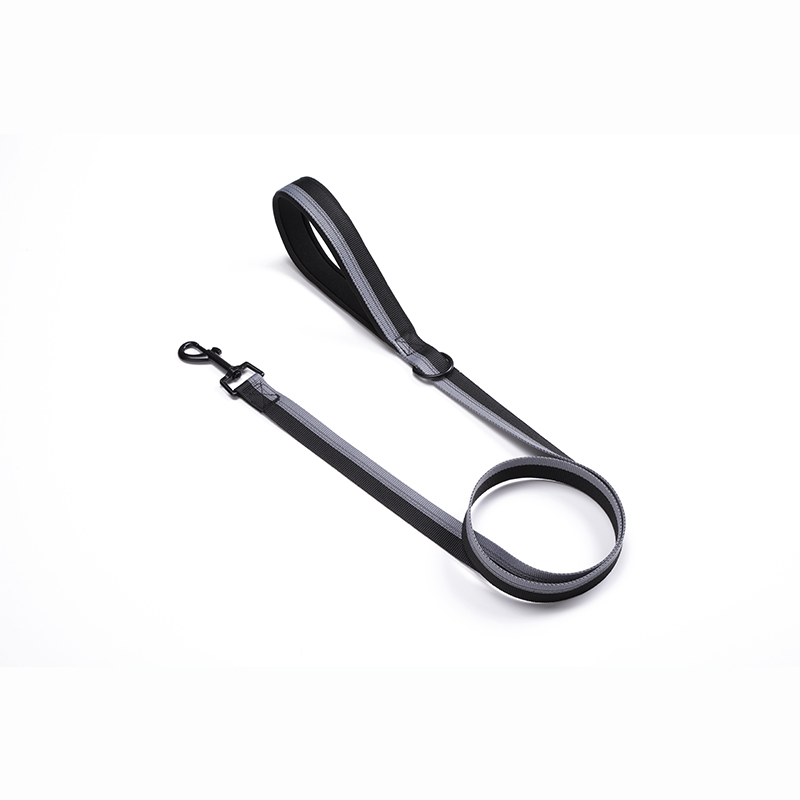 Classic Dog Leash in Two Tone Color