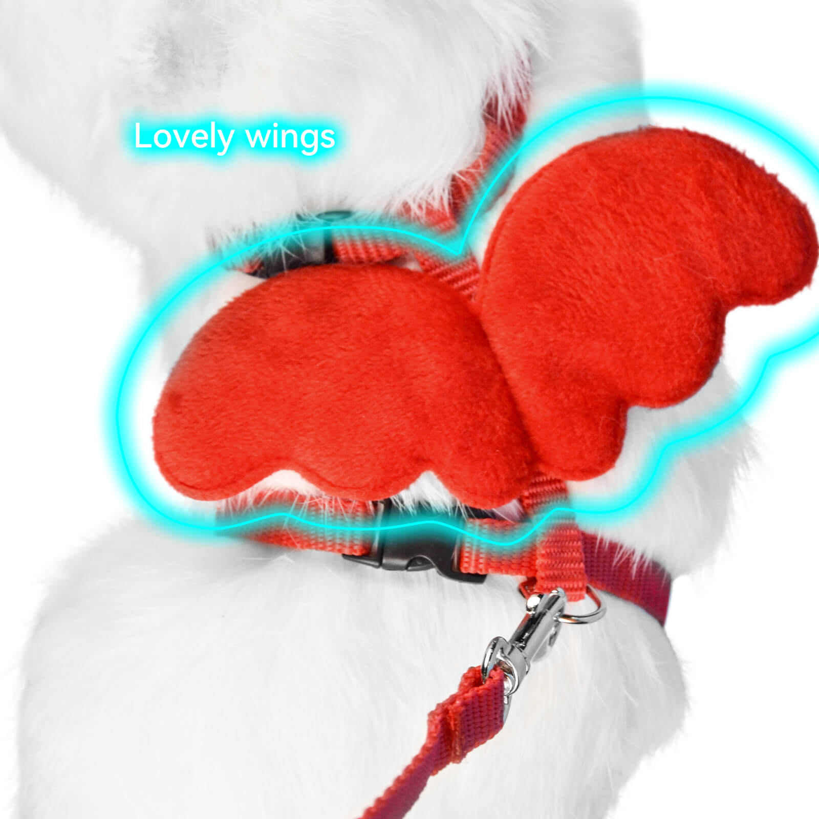 Best Cute Cat Harness with Leash Wings Design for Safe & Stylish Outdoor Adventures