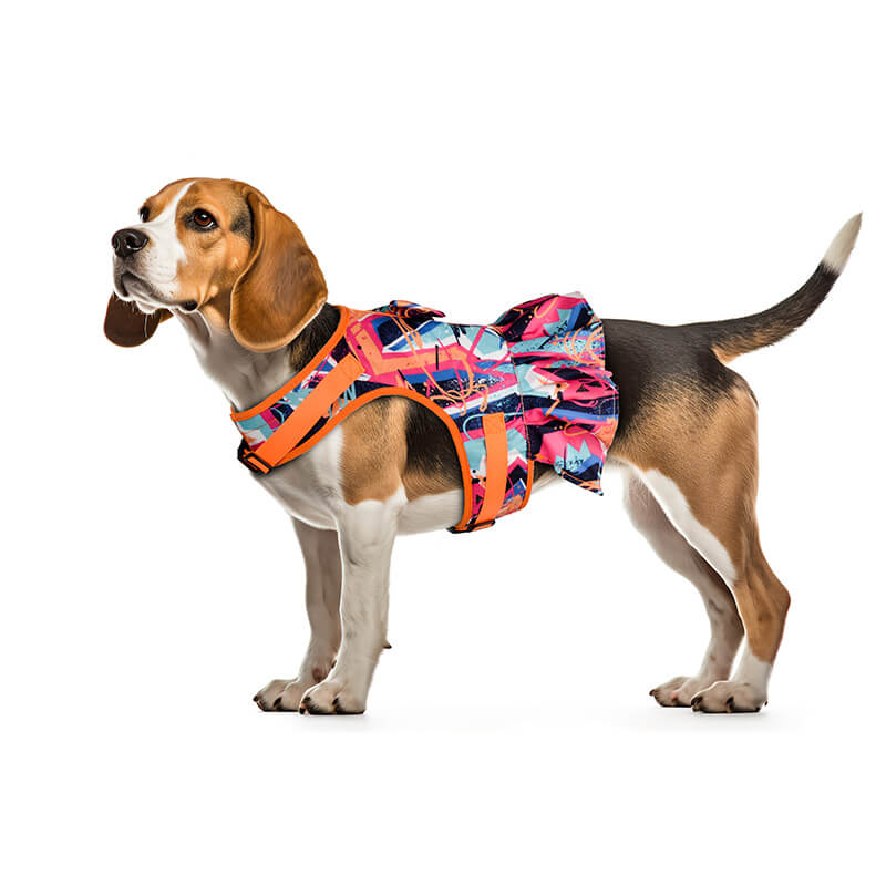 Graffiti Pattern Dress Dog Harness