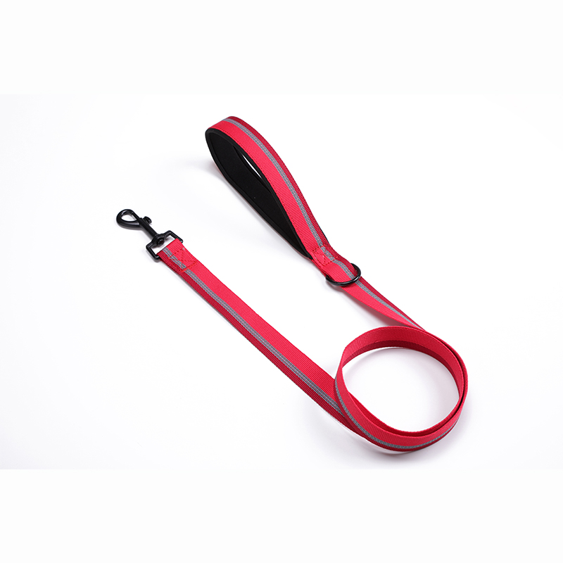 Classic Dog Leash in Two Tone Color