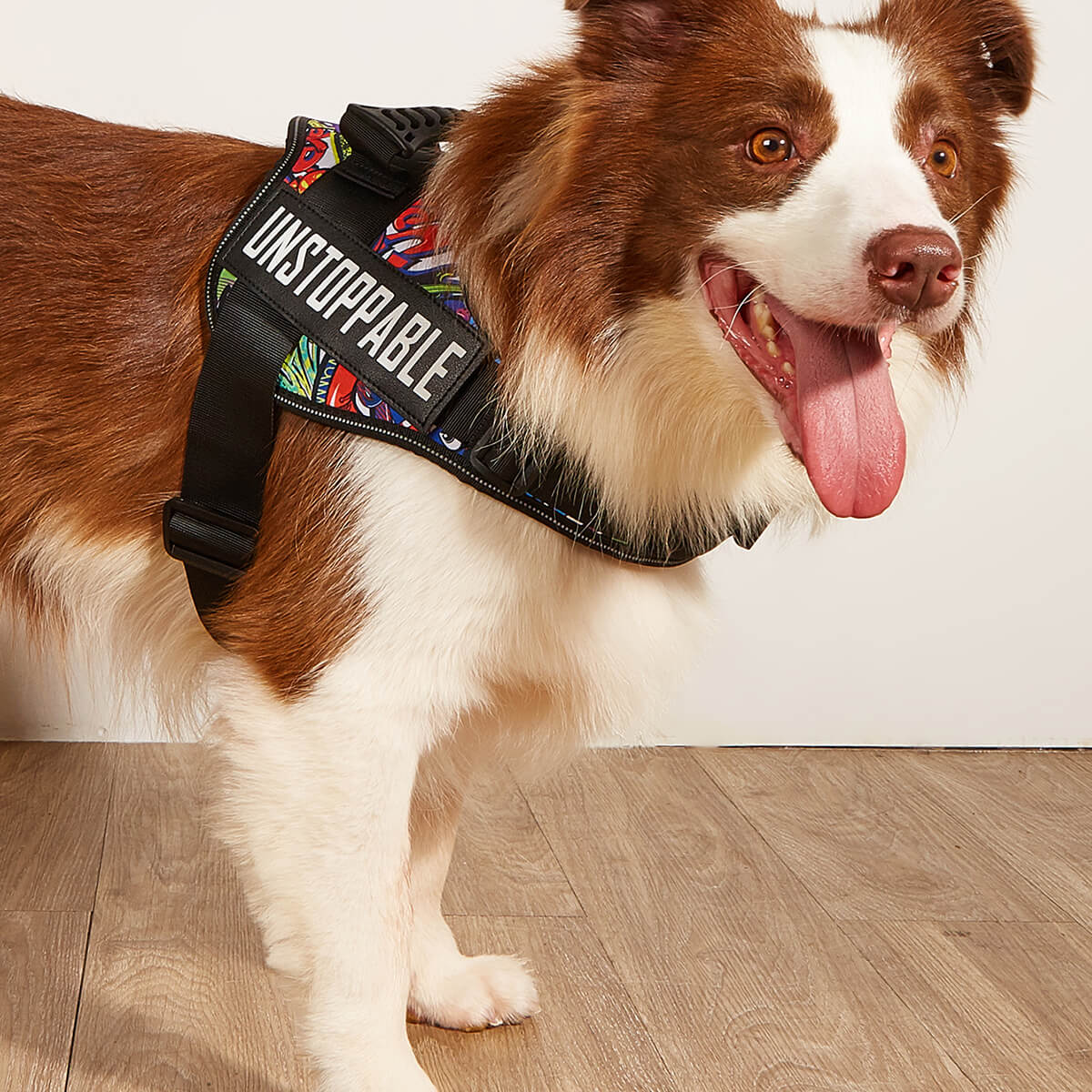 Tactical Dog Harness for Large Dog Body