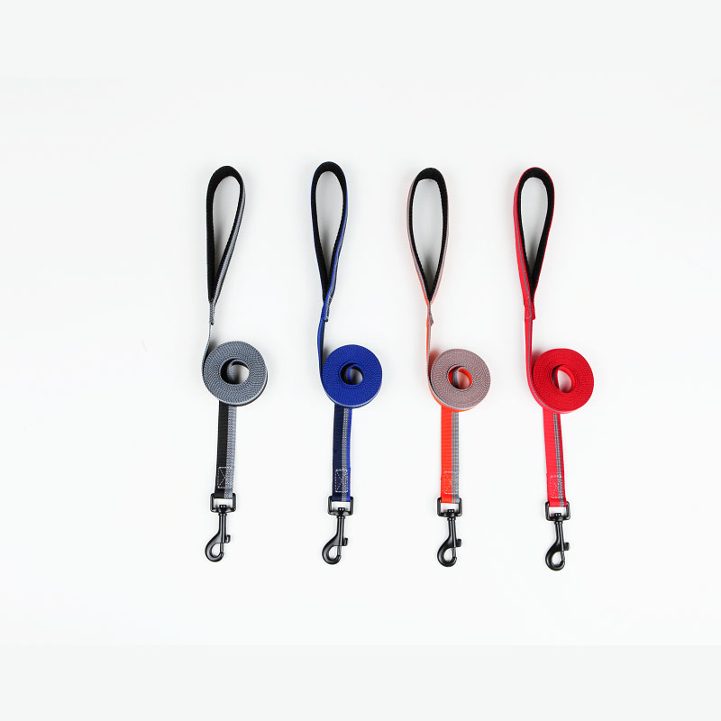 Classic Dog Leash in Two Tone Color