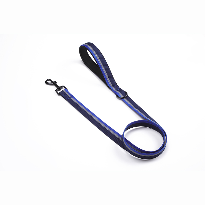Classic Dog Leash in Two Tone Color