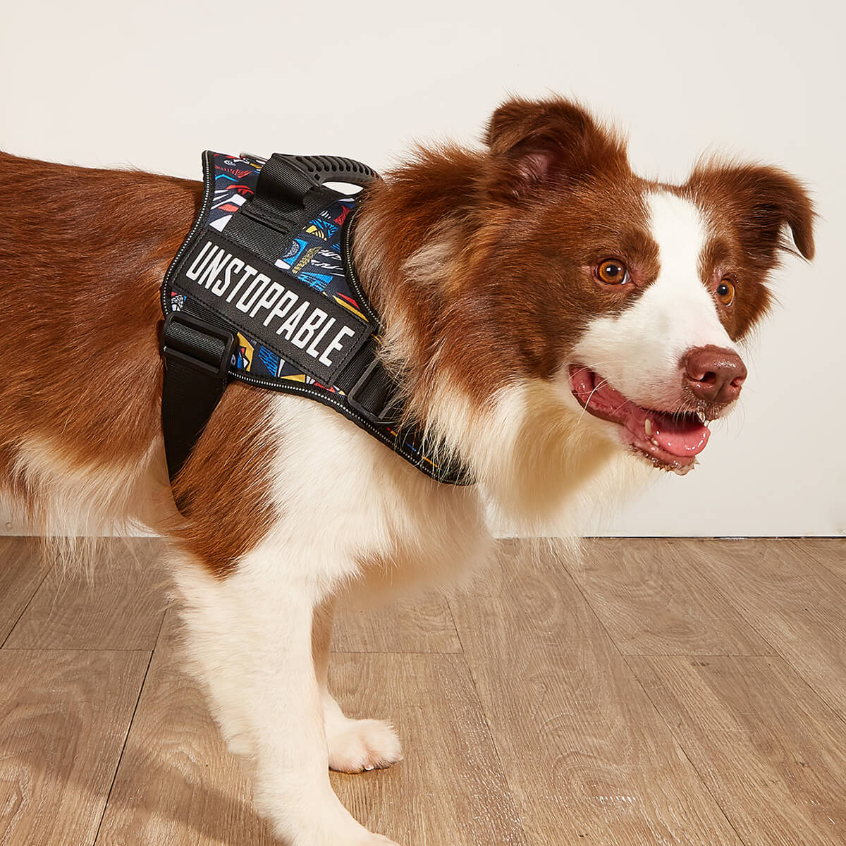 Tactical Dog Harness for Large Dog Body