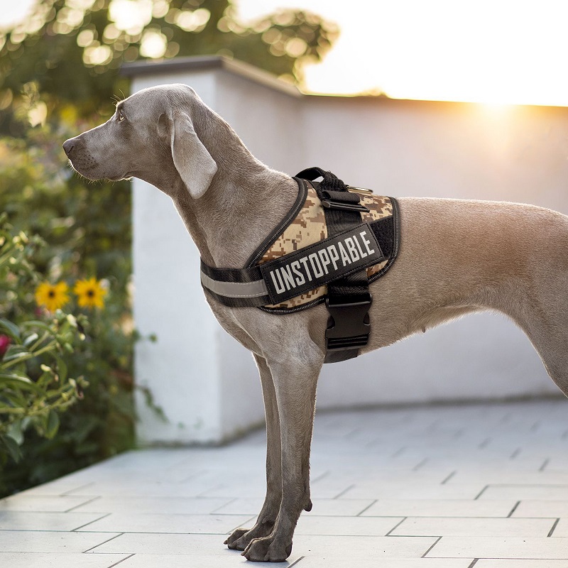 Dog Training Harness with Reflective Stripes