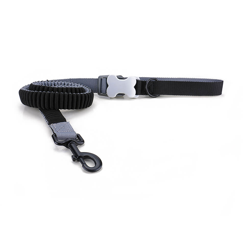 Elastic Dog Leash for Big Dogs