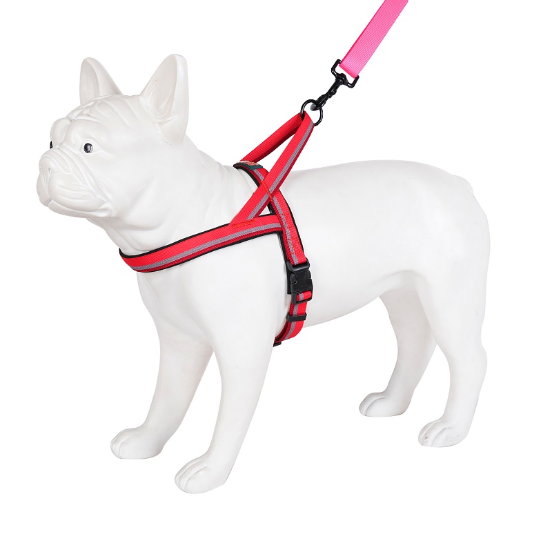No Pull Dog Harness Duo Patchwork Color Basics