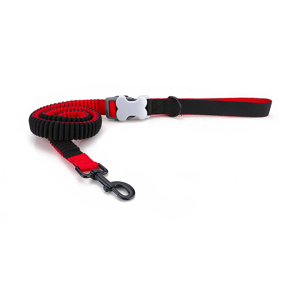 Elastic Dog Leash for Big Dogs