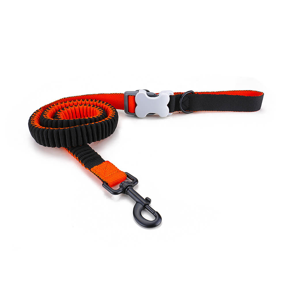 Elastic Dog Leash for Big Dogs