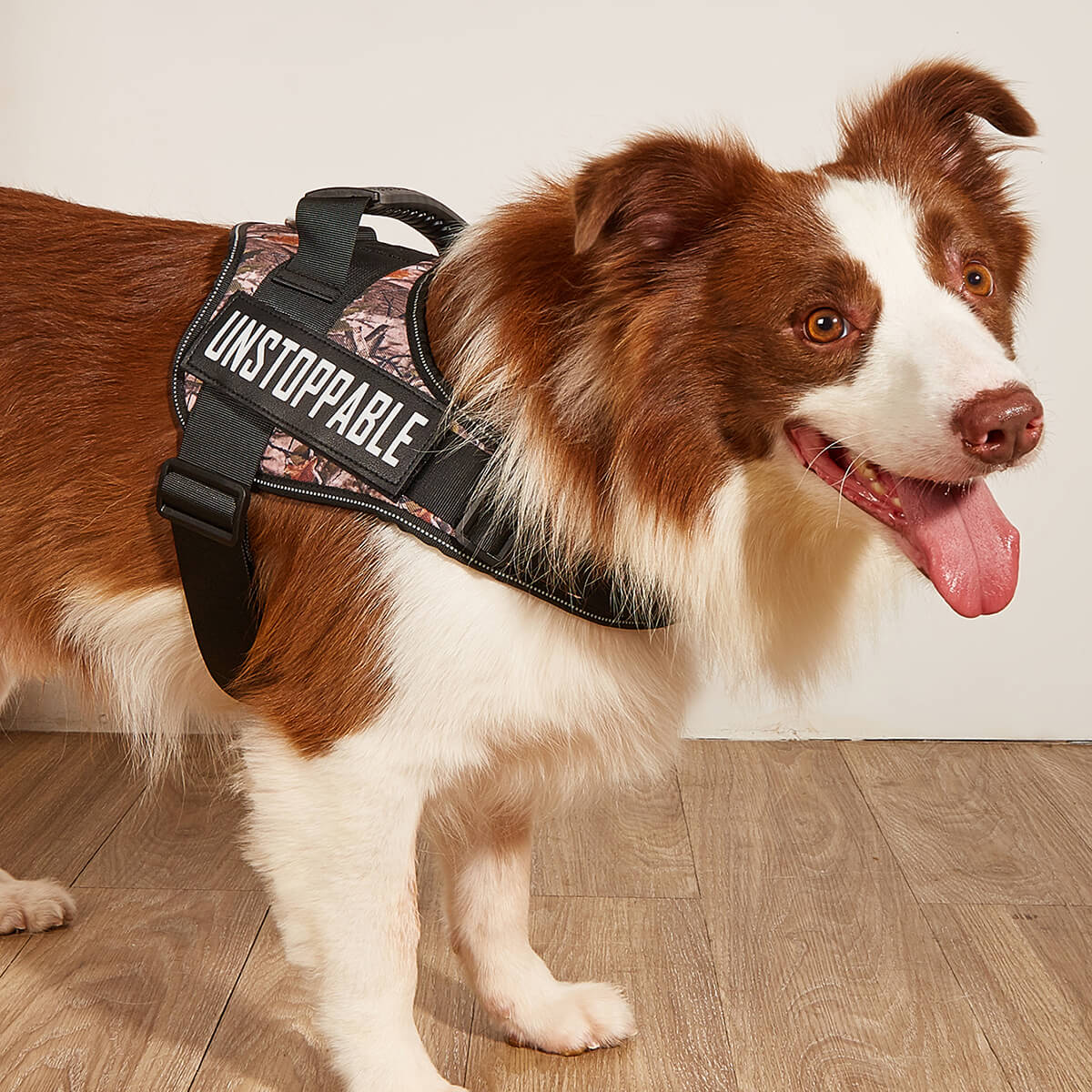 Tactical Dog Harness for Large Dog Body