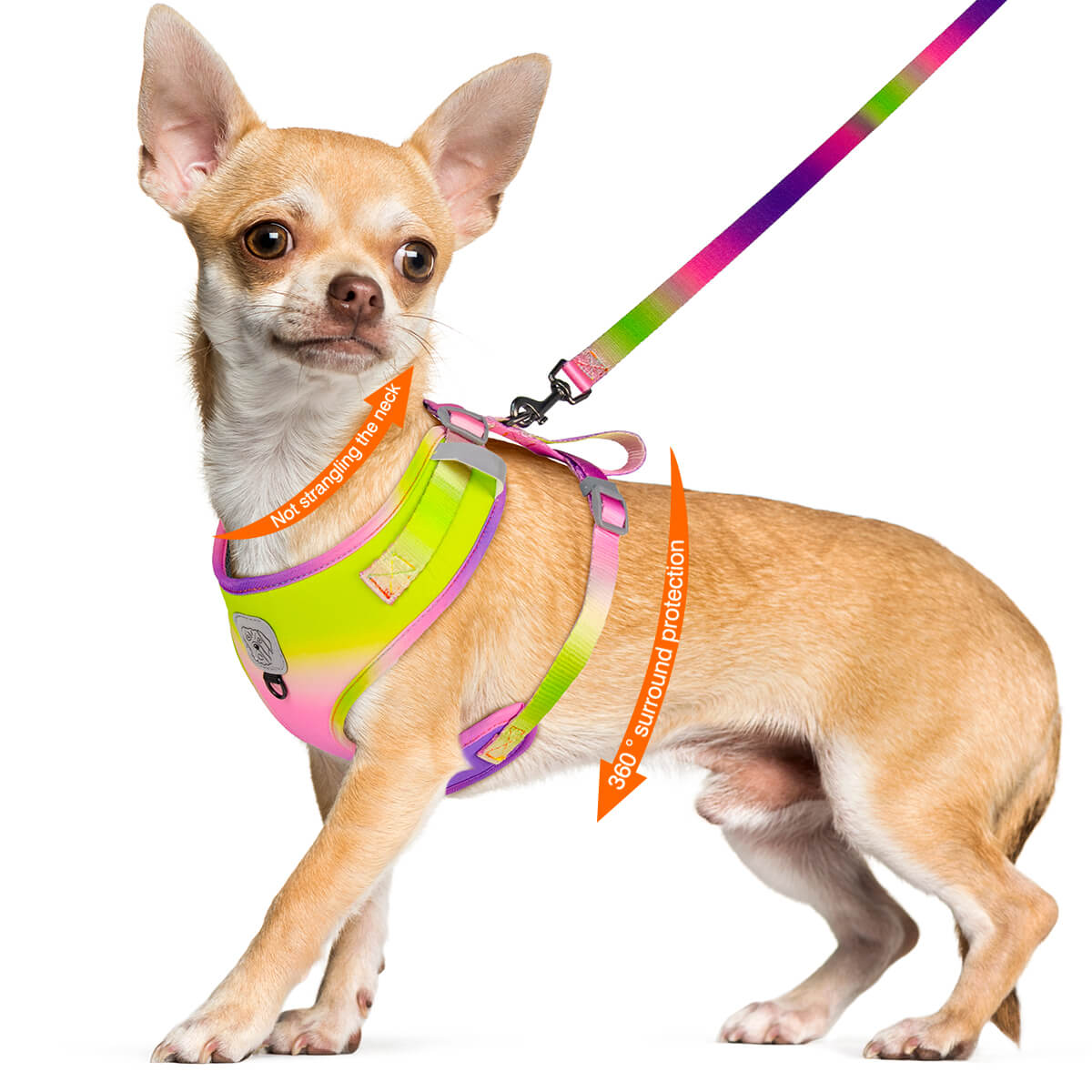 Gradient Ramp Dog Harness and Leash Set