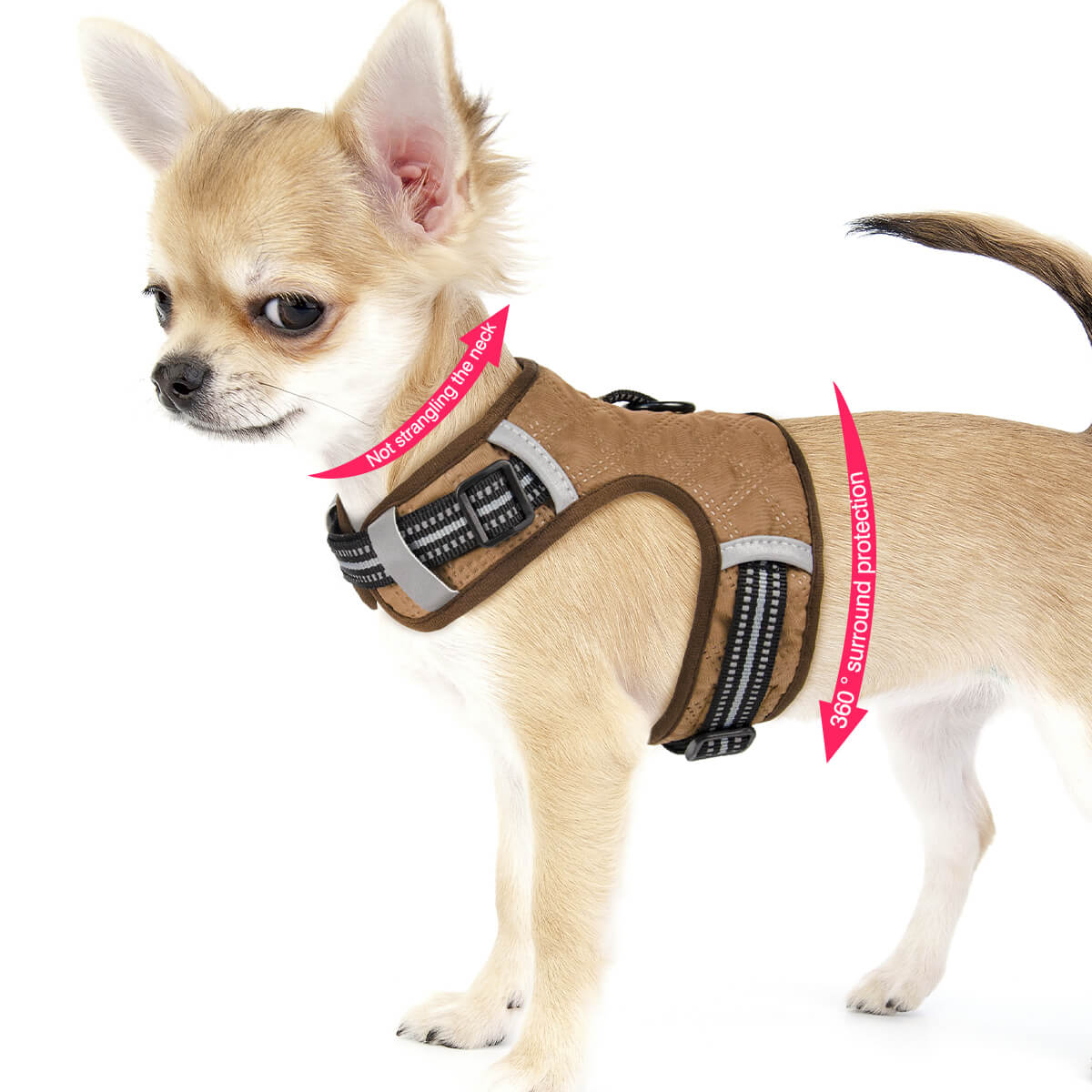 Solid Color Dog Harness Small Breed