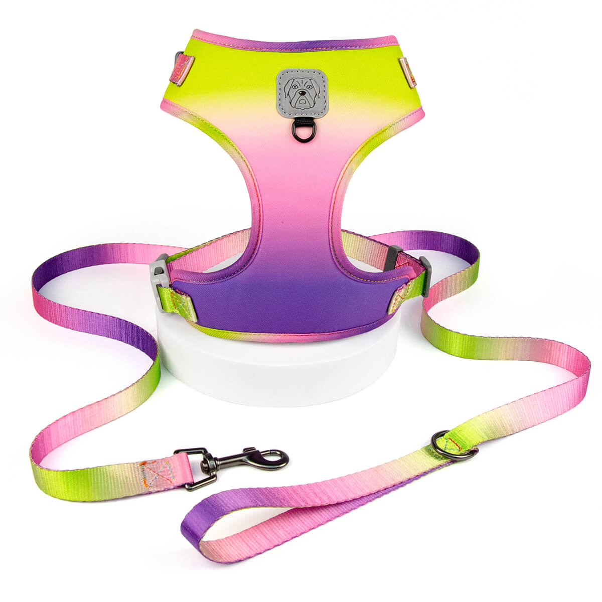 Gradient Ramp Dog Harness and Leash Set