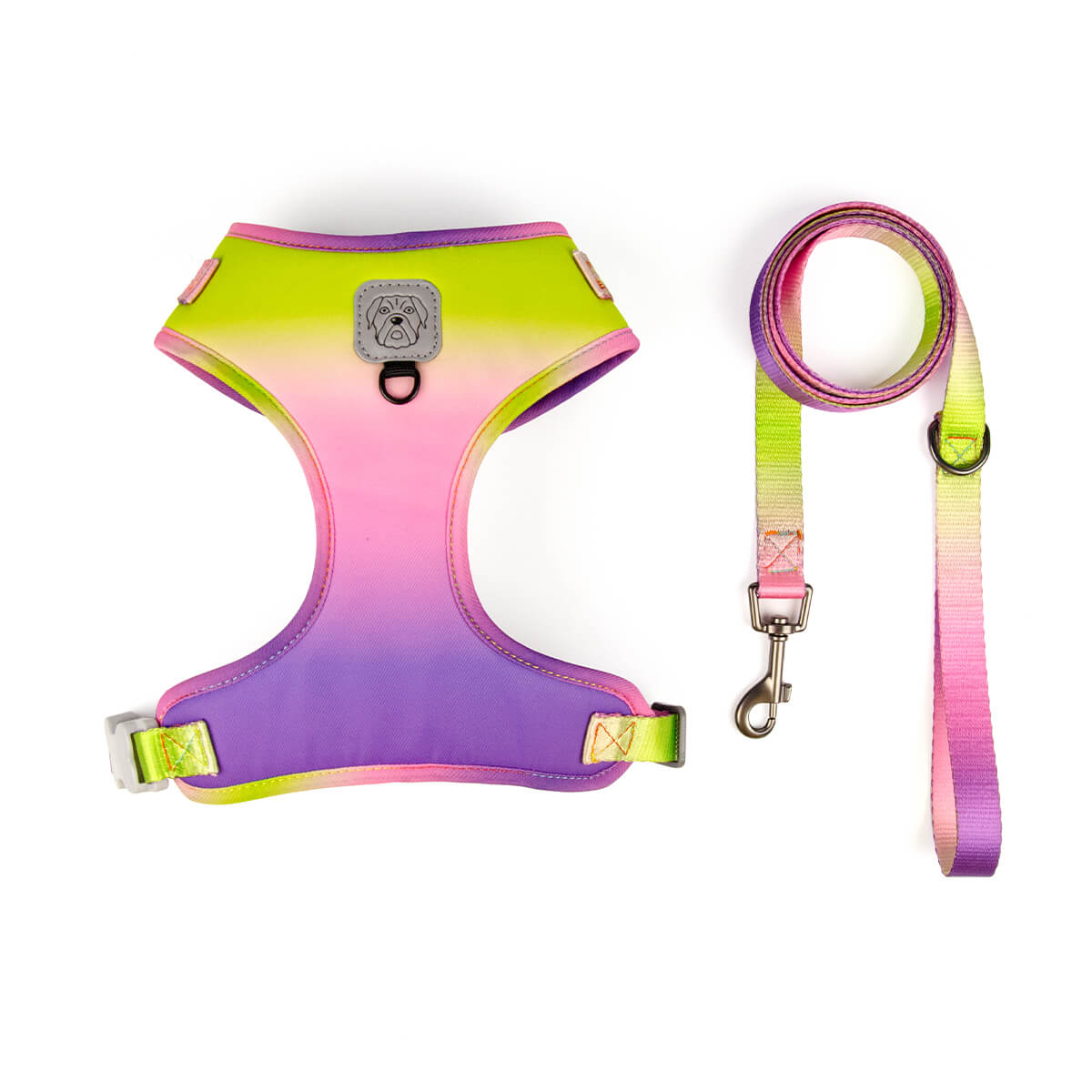 Gradient Ramp Dog Harness and Leash Set
