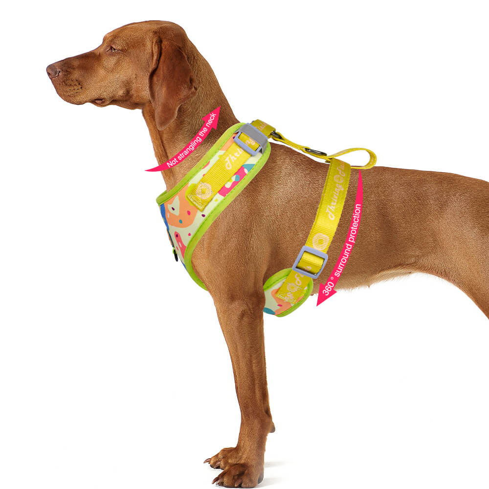 Dog Collar Harness Leash and Poop Bag Holder Walking Set