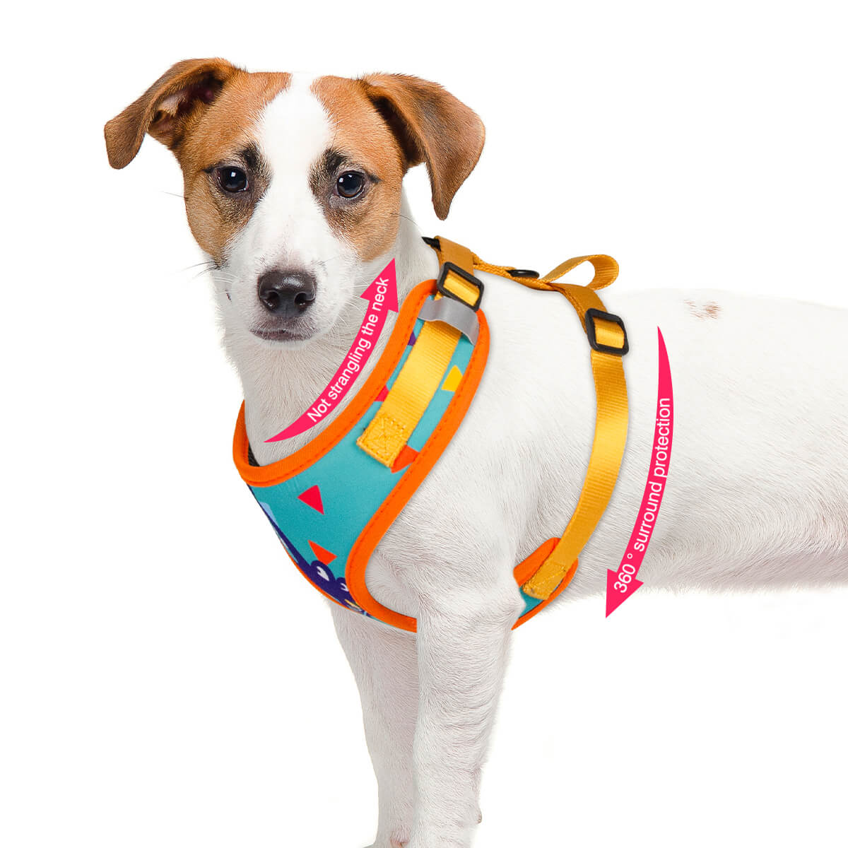 Cute Animal Print Dog Harness