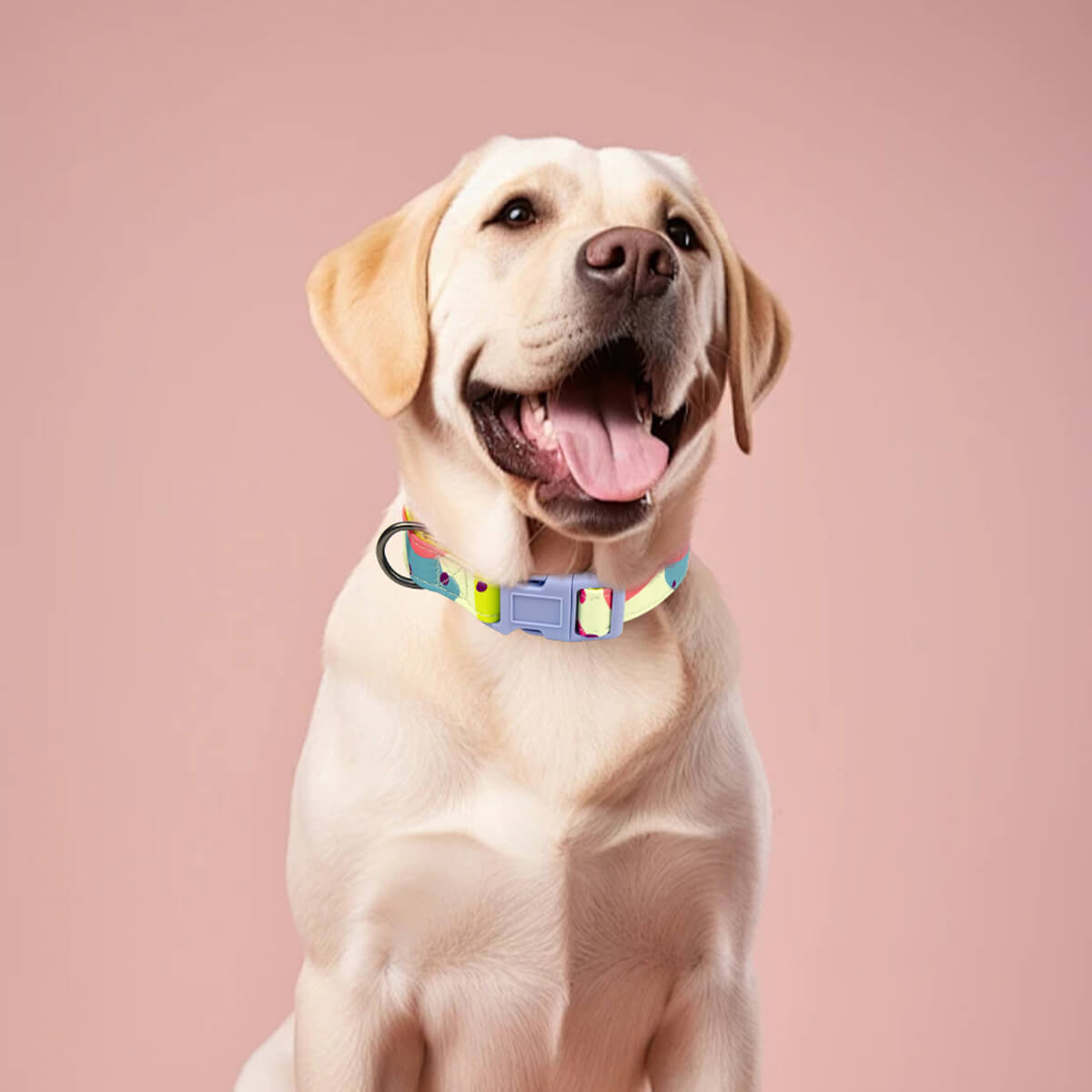 Cute and Strong Dog Collar Garden Style