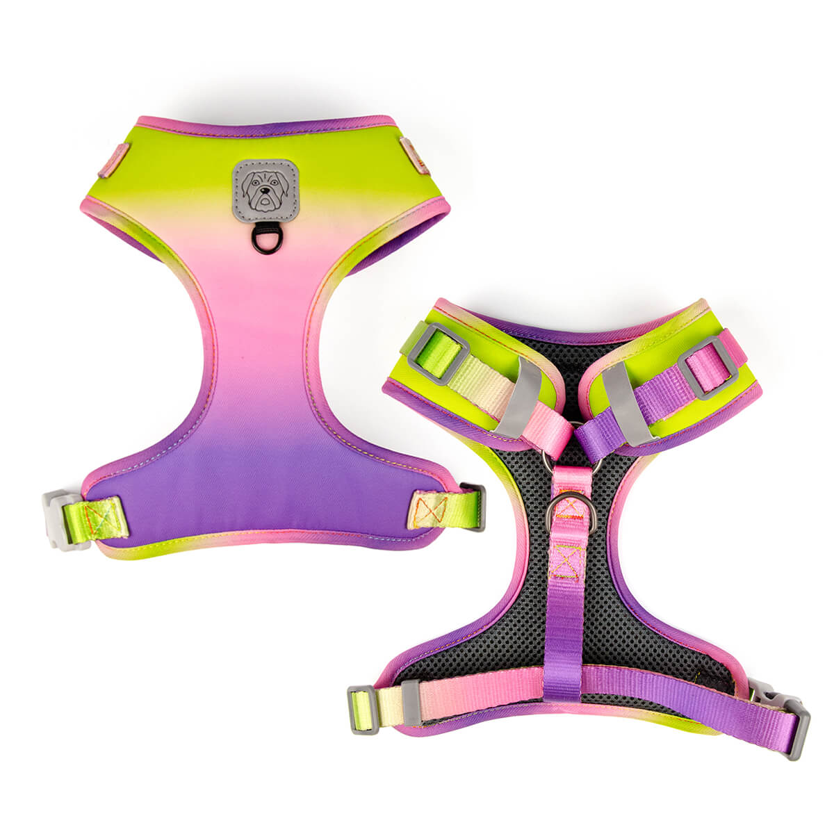 Gradient Ramp Dog Harness and Leash Set