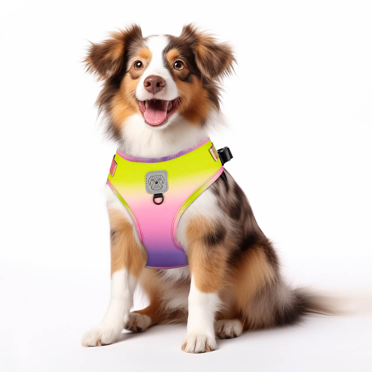 Gradient Ramp Dog Harness and Leash Set