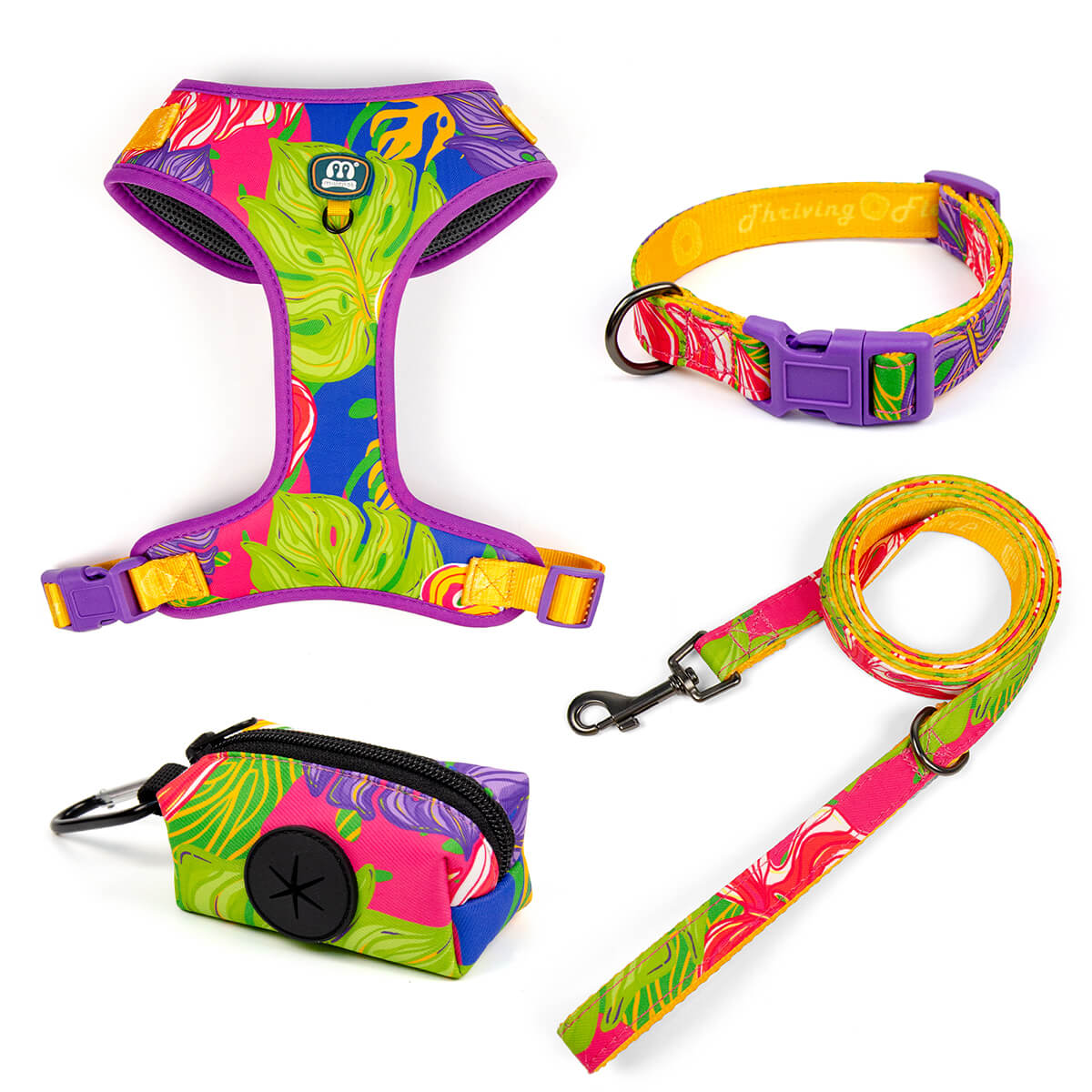 Dog Collar Harness Leash and Poop Bag Holder Walking Set