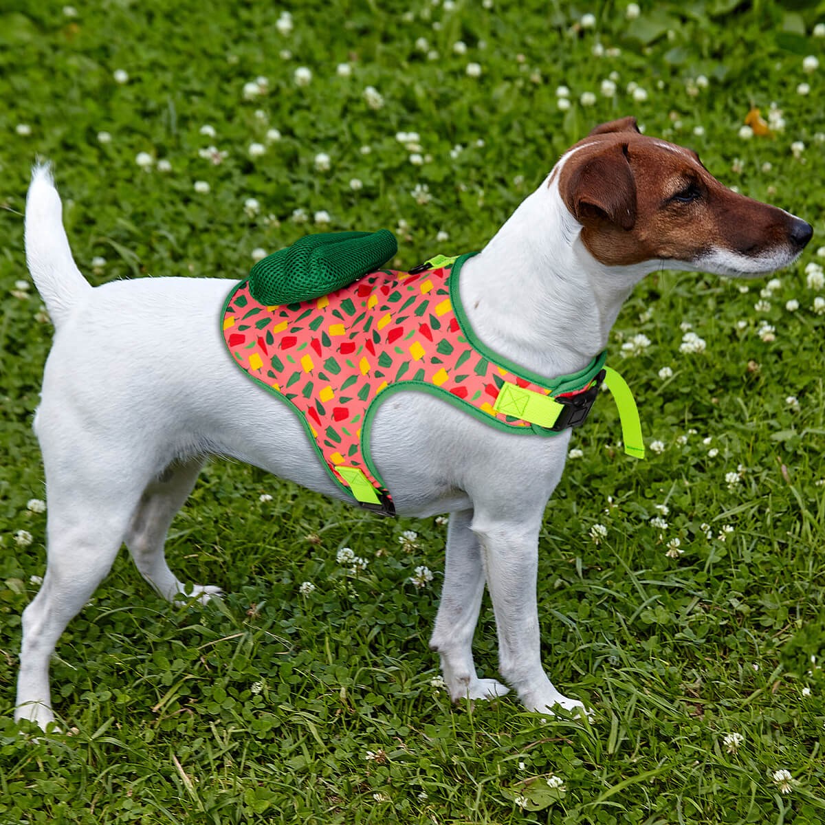 Color Blooming Series Dog Harness with Poop Bag Holder