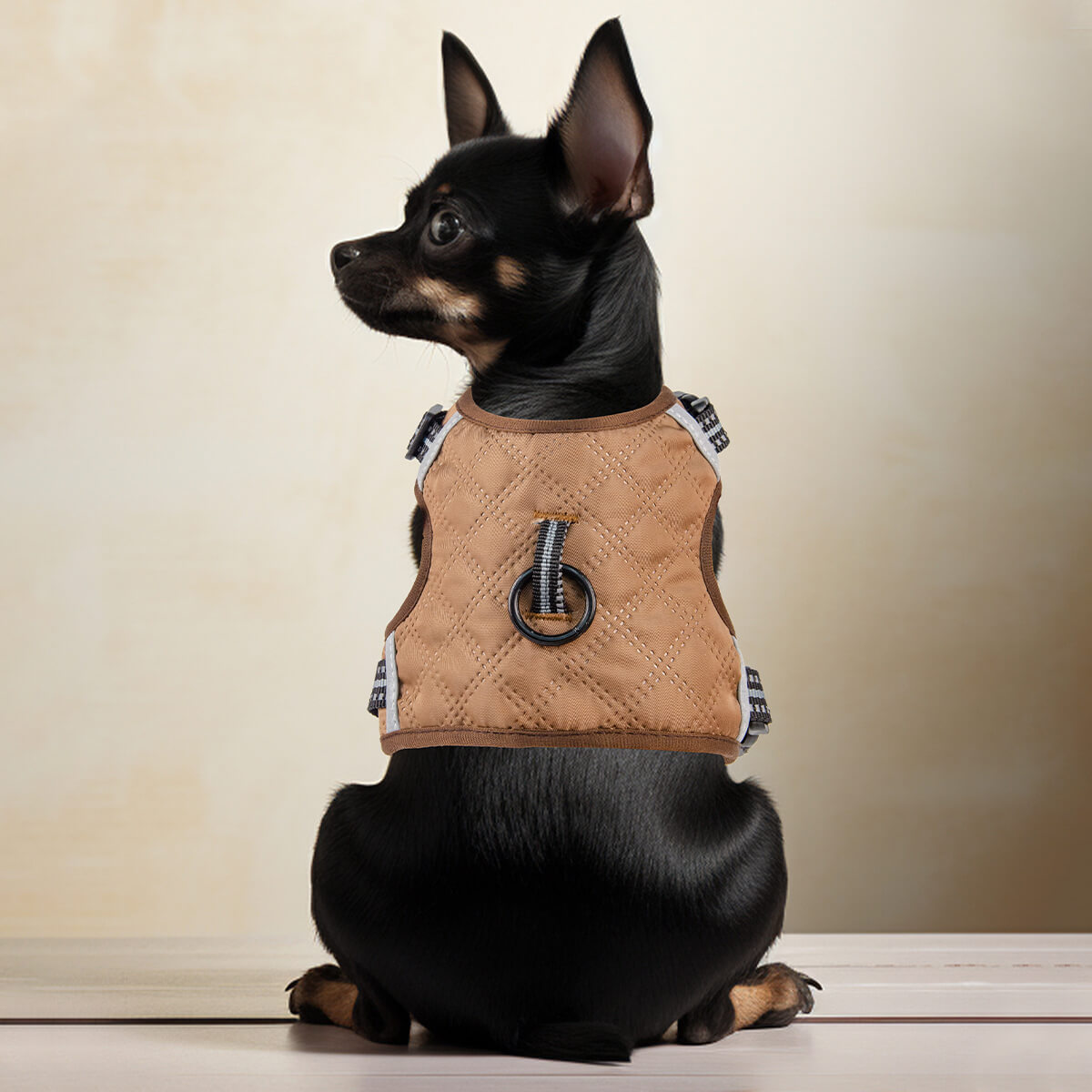 Solid Color Dog Harness Small Breed